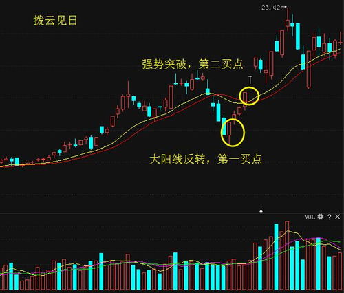 财产保险原则及理解;财产保险的条款 财产保险原则及理解;财产保险的条款